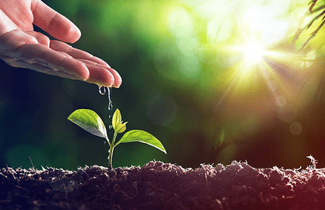 ismea al sud un fondo perduto in agricoltura articolo 7 immagine principale